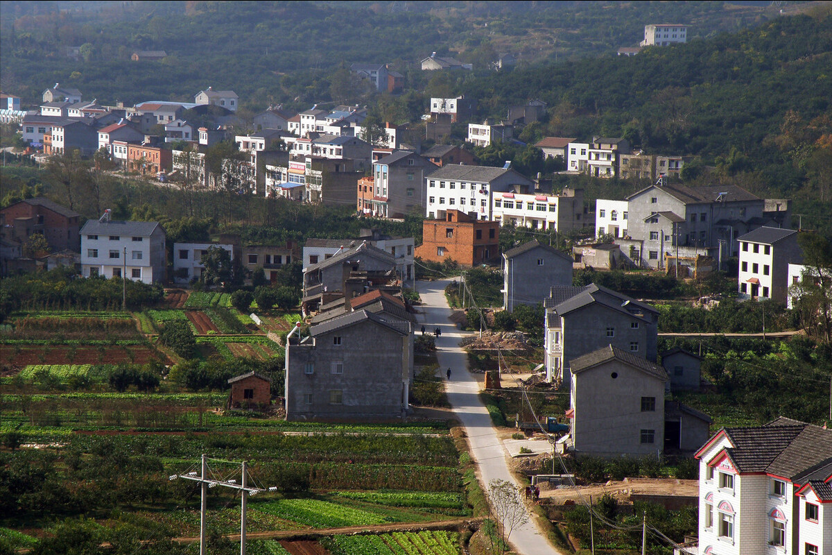 农村宅基地征收有哪些补偿(农村宅基地的征收补偿是多少)