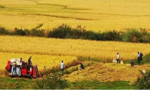 集体土地征收的程序(关于集体土地征收程序)