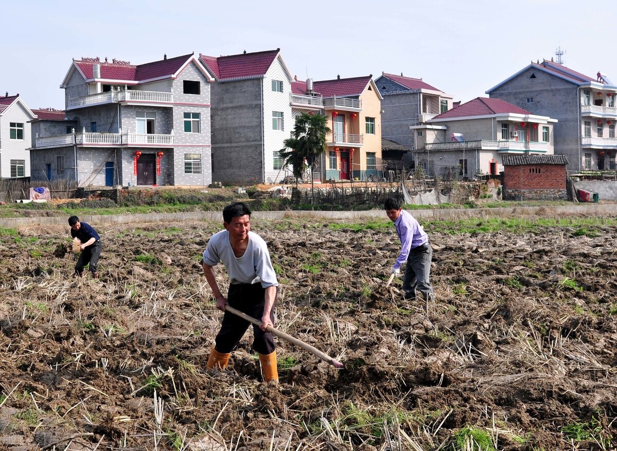 农村土地属于什么法(农村土地法规定是什么)