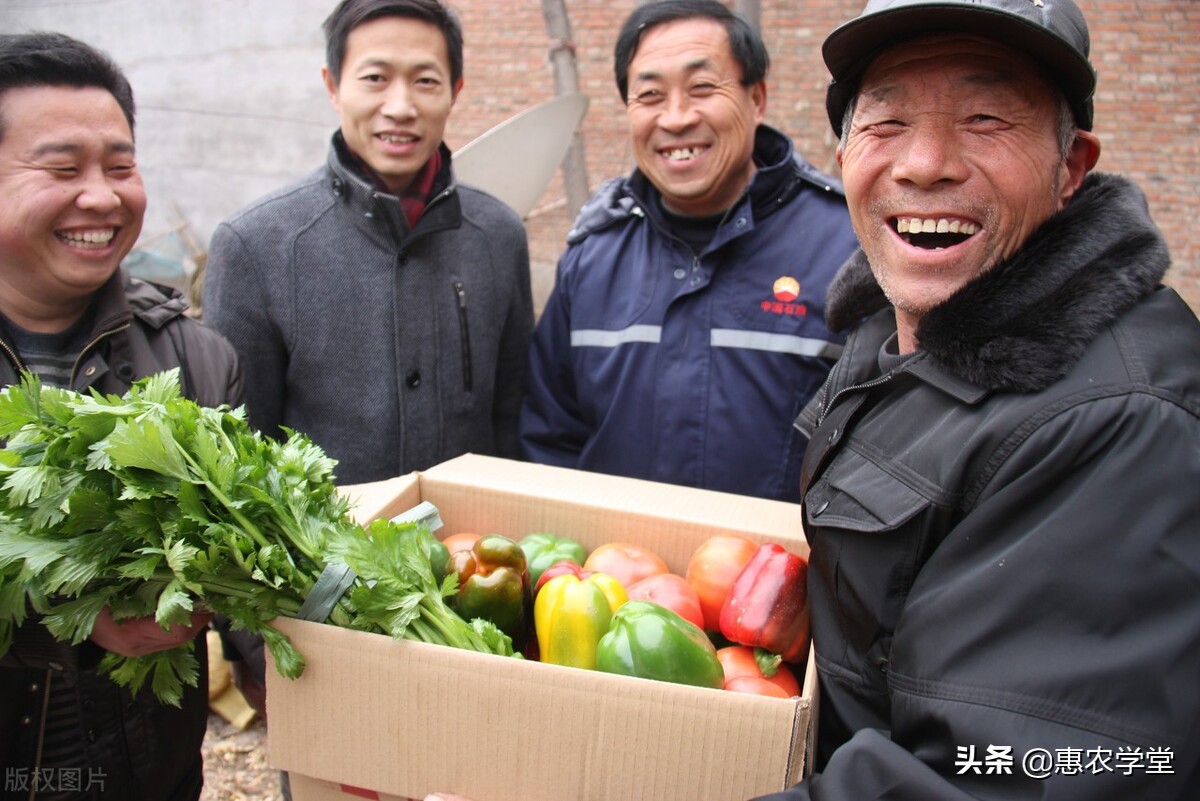 农村低保申请条件有哪些(农村低保申请条件是什么)