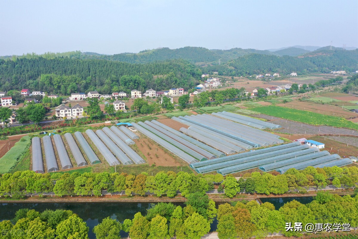 耕地占用税 暂行条例(耕地占用税暂行条例内容是什么)