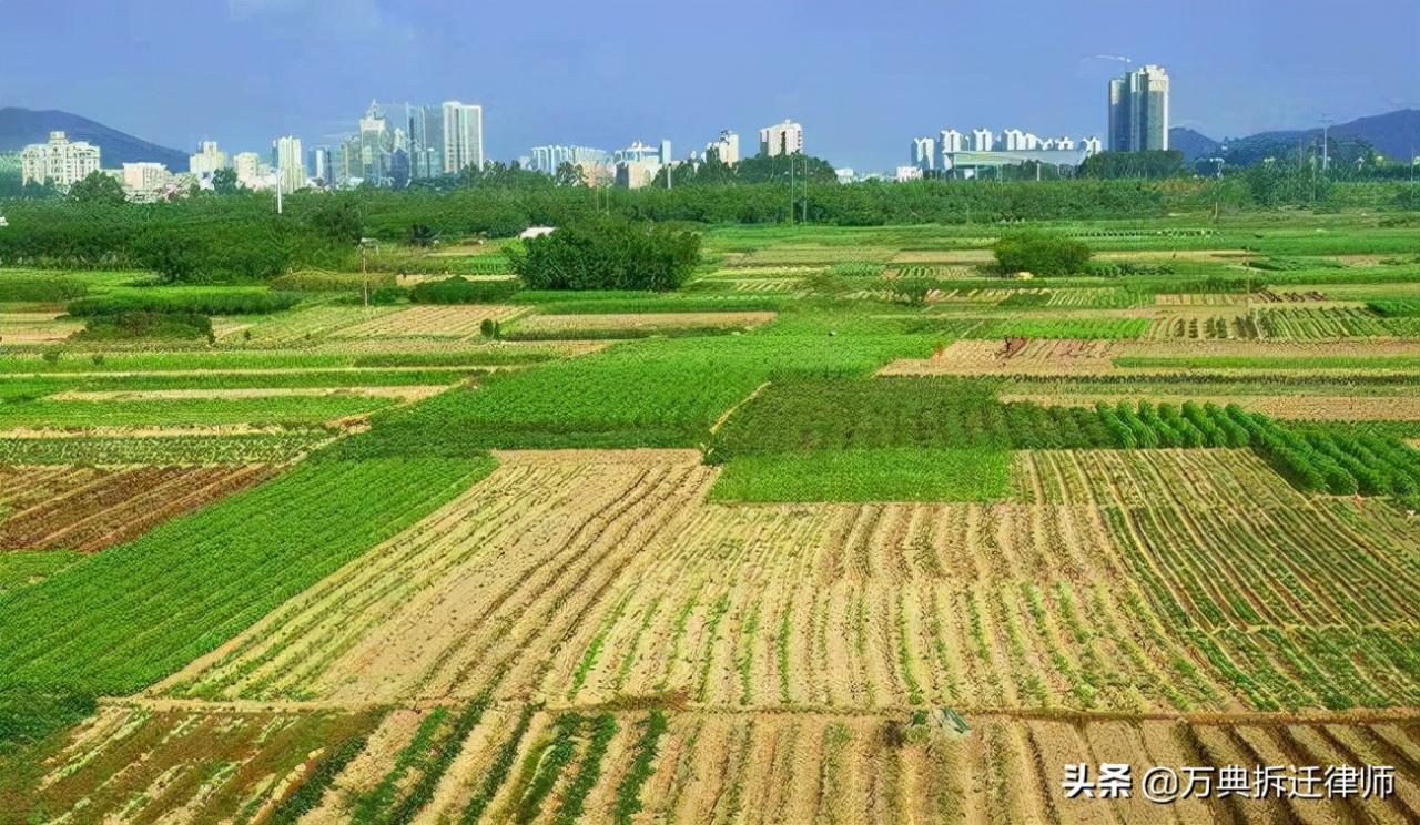 划拨土地拆迁怎么赔偿(土地拆迁怎么赔偿)