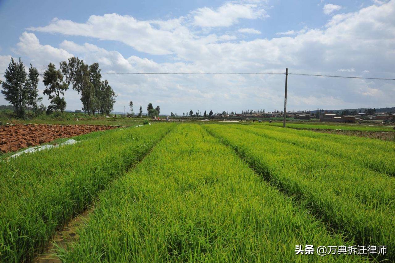 划拨土地拆迁怎么赔偿(土地拆迁怎么赔偿)