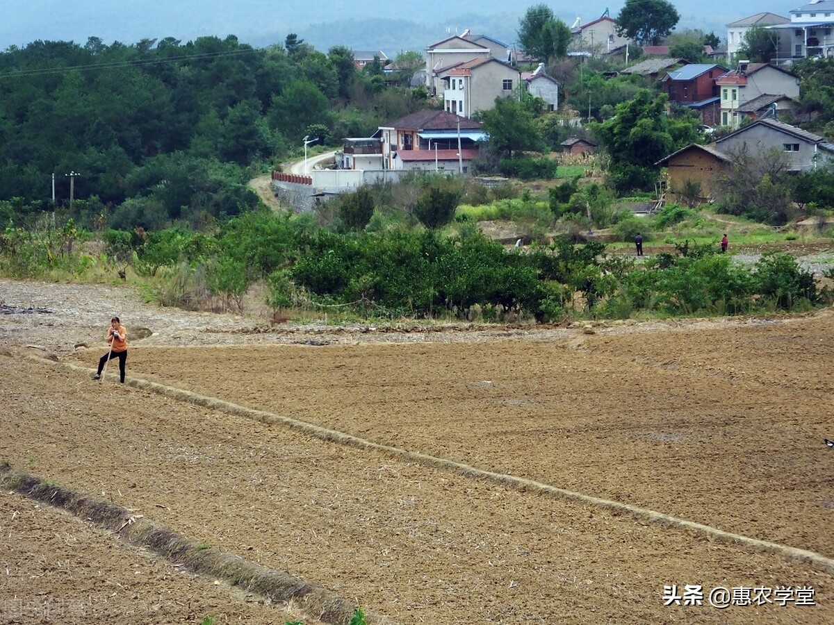 2022年农村土地征收补偿多少钱一亩？按户还是按人头进行补偿？