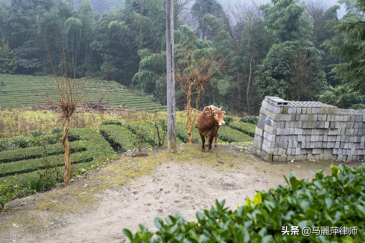 国有土地租赁最长多少年(国家土地租赁最长多少年合法)