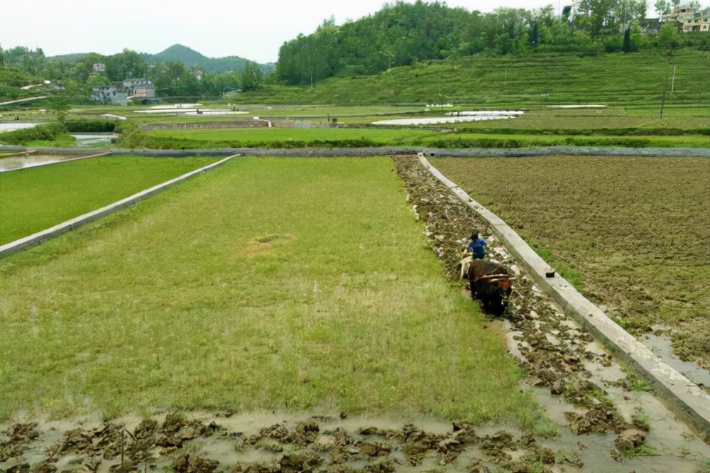 新的《土地管理法实施条例》来啦，一起来关注一下耕地保护吧