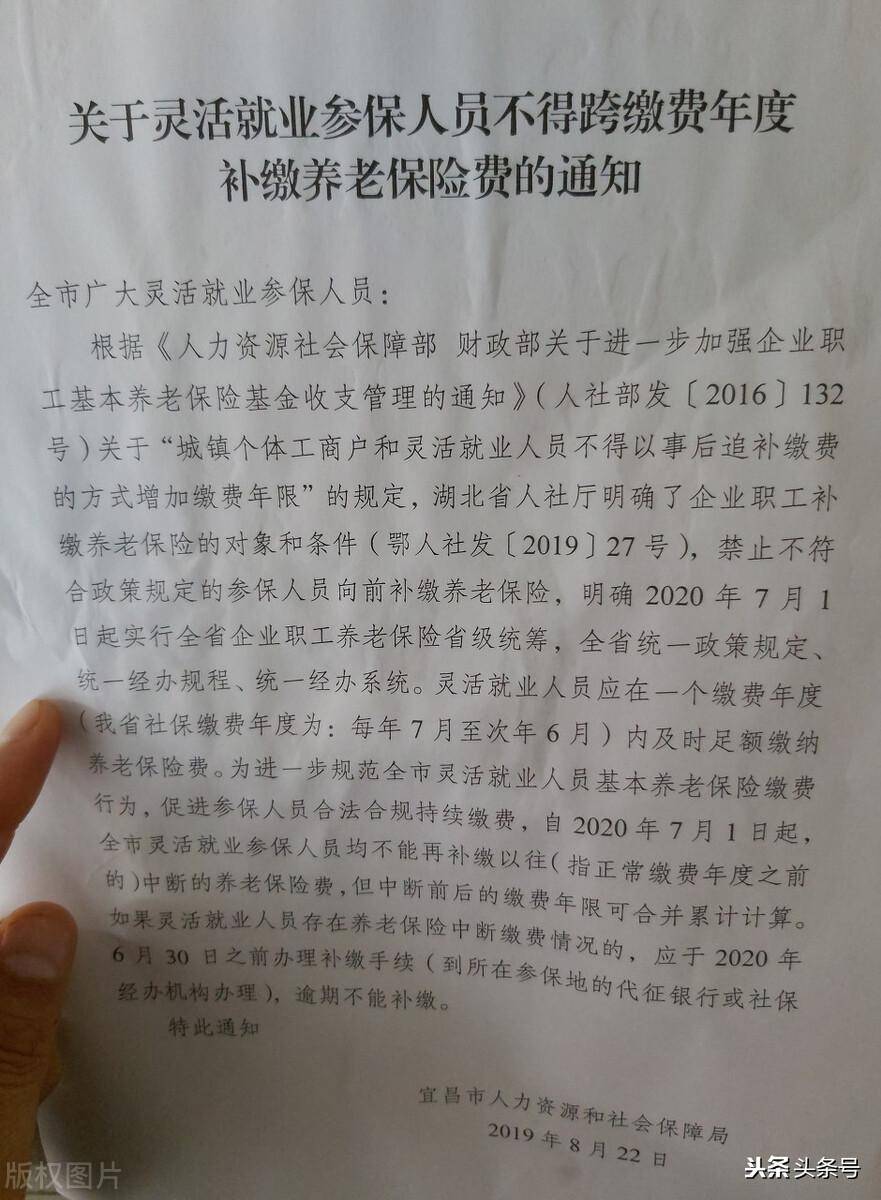 养老金的缴纳比例是多少钱(养老金的缴纳比例是多少)