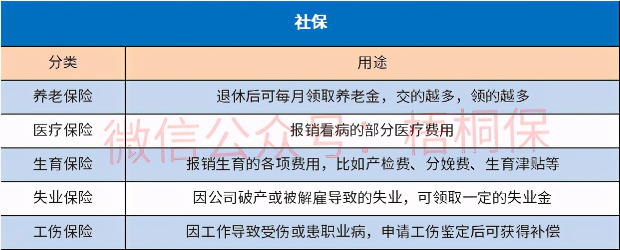 社保断缴超过三个月有何影响？社保个人缴纳和企业缴纳有何不同？