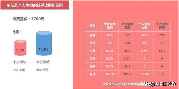 2022社保新变化！2天后，社保挂靠被禁止，这些福利也随之被暂停