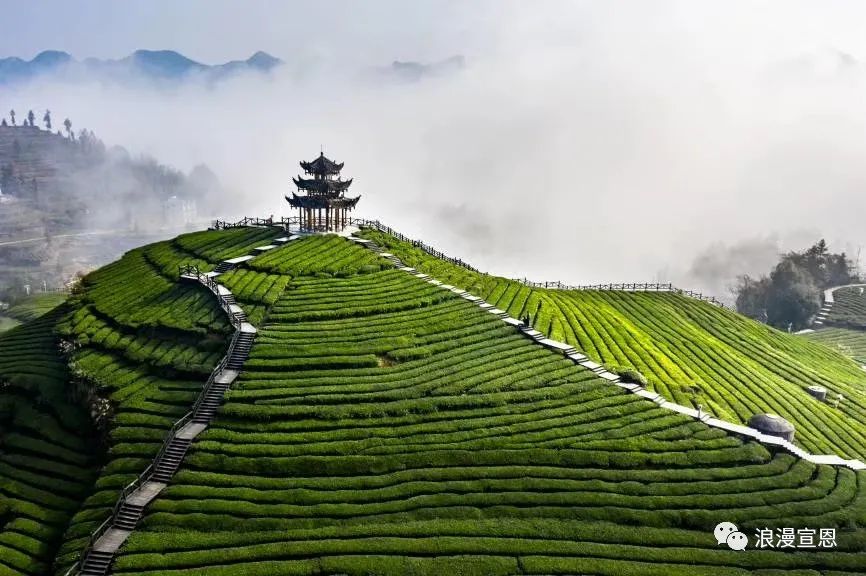 学习 ‖ 最新《旅游法》全文