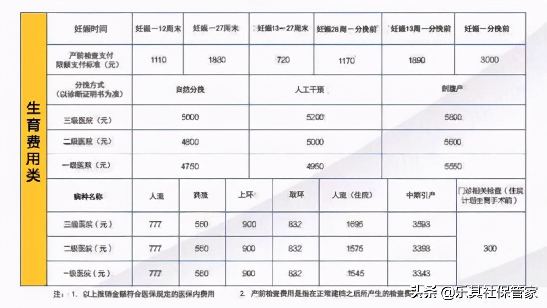 生育保险要交多久才能报销？